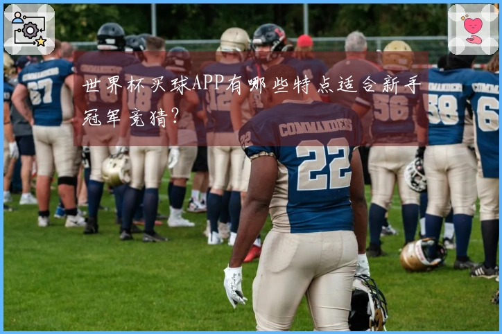 世界杯买球APP有哪些特点适合新手冠军竞猜？