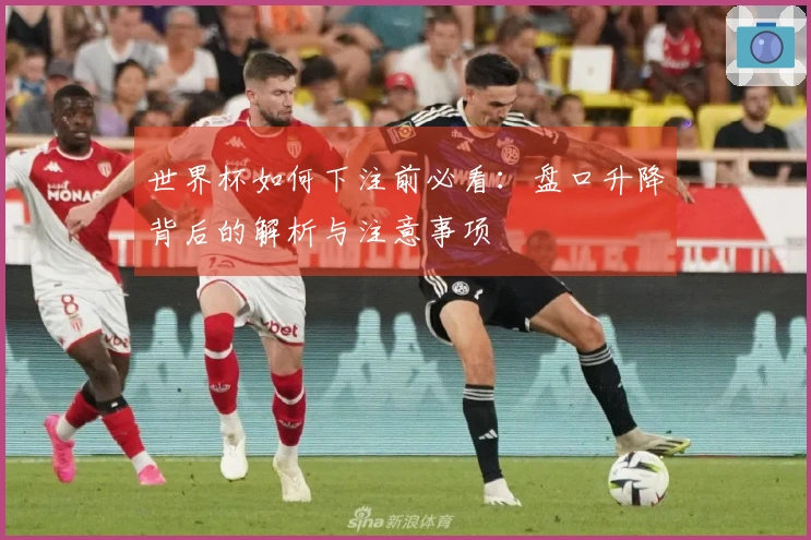 世界杯如何下注前必看：盘口升降背后的解析与注意事项