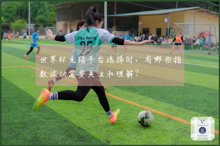 世界杯竞猜平台选择时，有哪些指数波动需要关注和理解？