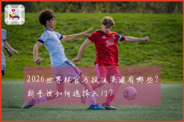 2026世界杯官方投注渠道有哪些？新手该如何选择入门？