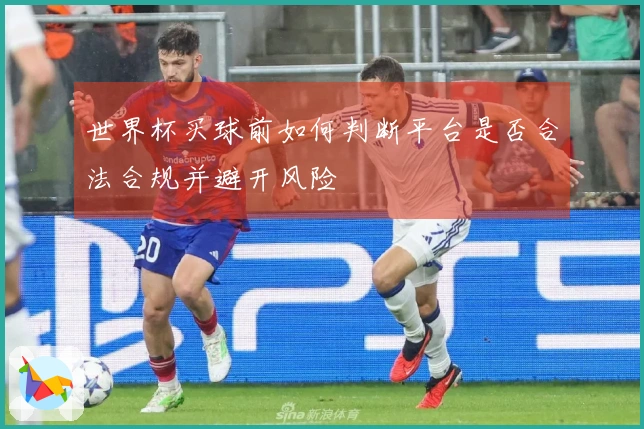 世界杯买球前如何判断平台是否合法合规并避开风险
