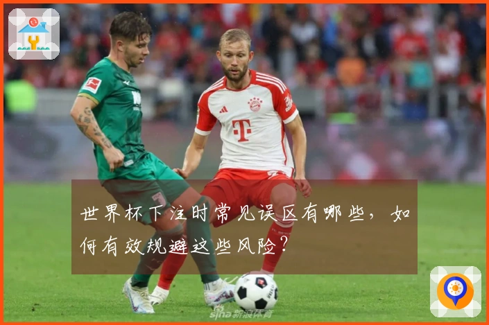世界杯下注时常见误区有哪些，如何有效规避这些风险？