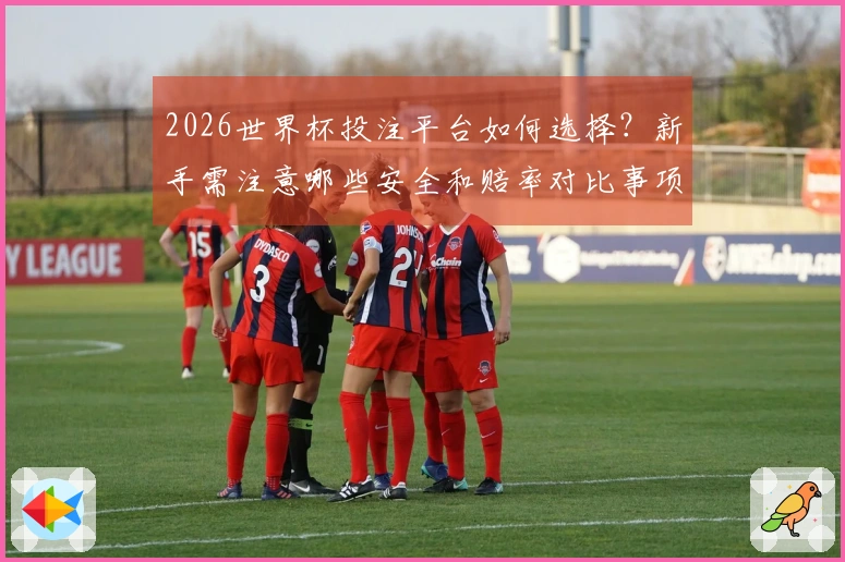 2026世界杯投注平台如何选择？新手需注意哪些安全和赔率对比事项