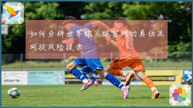 如何分辨世界杯买球官网的真伪及网投风险提示