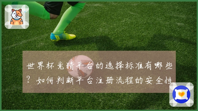 世界杯竞猜平台的选择标准有哪些？如何判断平台注册流程的安全性？