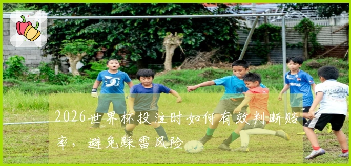 2026世界杯投注时如何有效判断赔率，避免踩雷风险