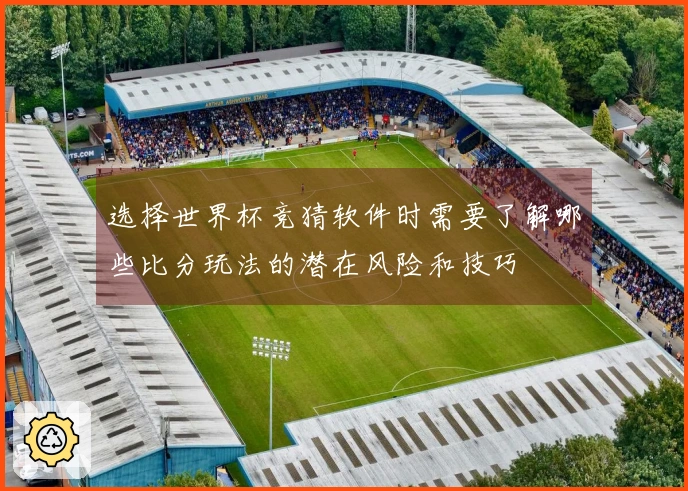 选择世界杯竞猜软件时需要了解哪些比分玩法的潜在风险和技巧