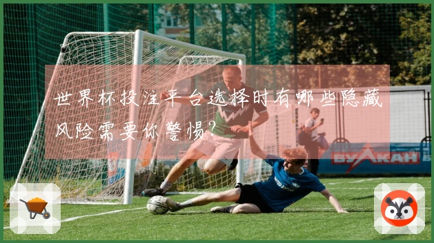 世界杯投注平台选择时有哪些隐藏风险需要你警惕？