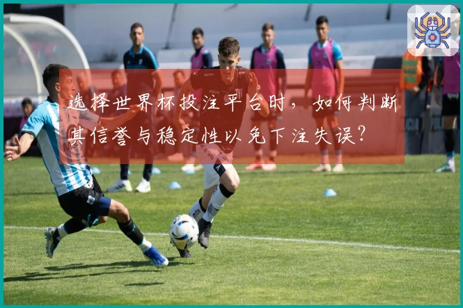 选择世界杯投注平台时，如何判断其信誉与稳定性以免下注失误？