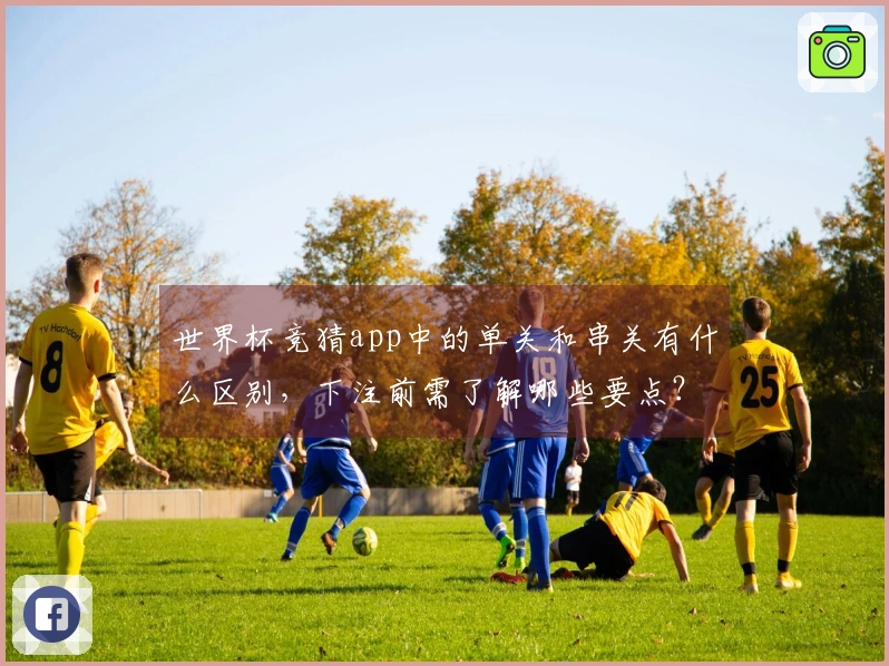 世界杯竞猜app中的单关和串关有什么区别，下注前需了解哪些要点？