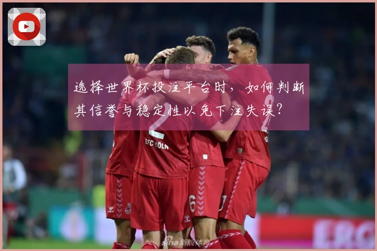选择世界杯投注平台时，如何判断其信誉与稳定性以免下注失误？