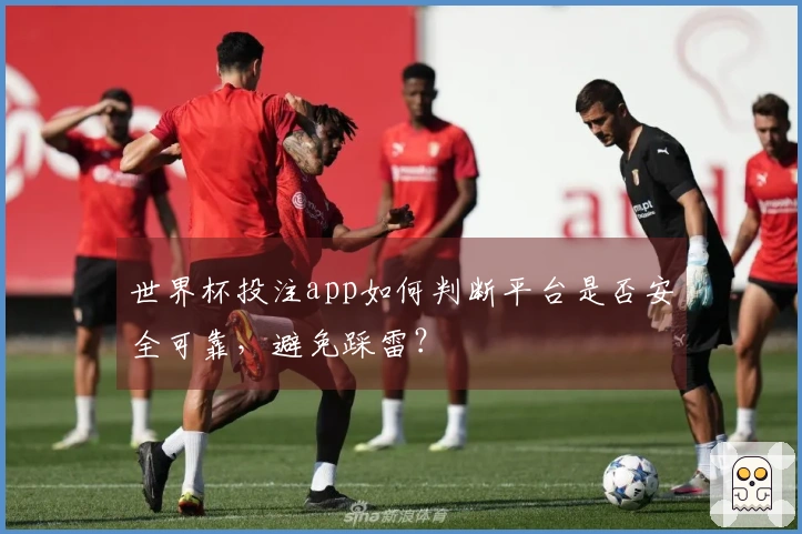 世界杯投注app如何判断平台是否安全可靠，避免踩雷？
