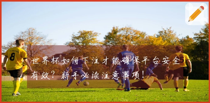 世界杯如何下注才能确保平台安全有效？新手必读注意事项！