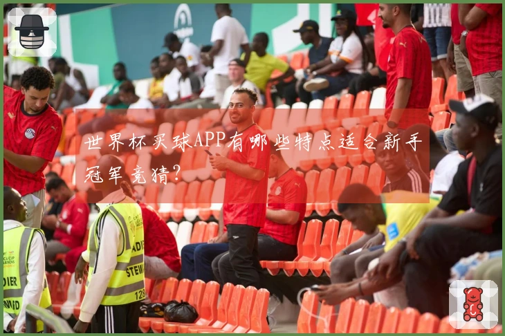 世界杯买球APP有哪些特点适合新手冠军竞猜？
