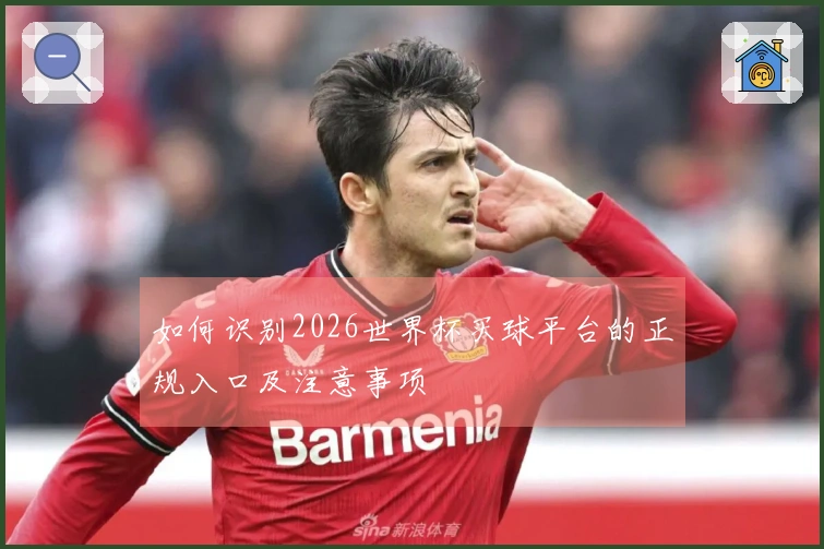 如何识别2026世界杯买球平台的正规入口及注意事项