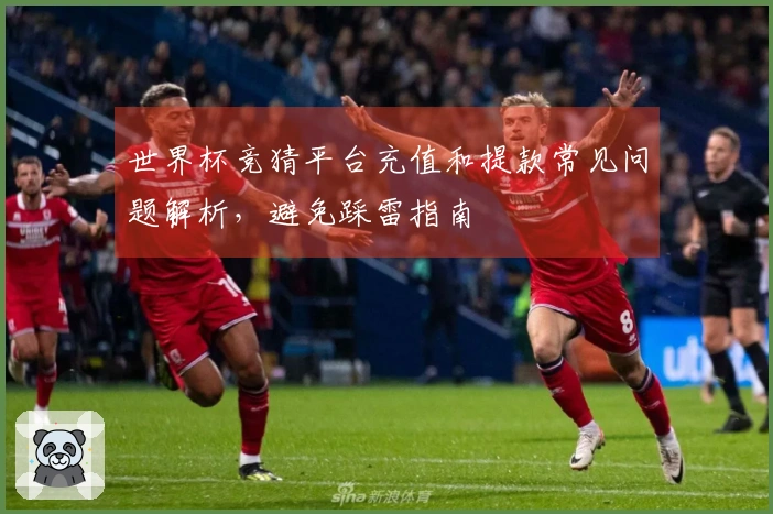 世界杯竞猜平台充值和提款常见问题解析，避免踩雷指南