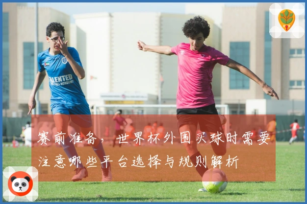 赛前准备，世界杯外围买球时需要注意哪些平台选择与规则解析