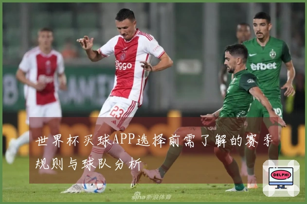 世界杯买球APP选择前需了解的赛季规则与球队分析