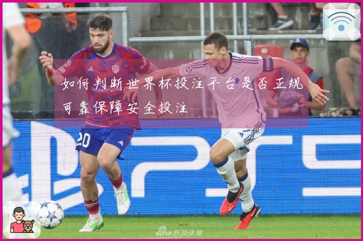 如何判断世界杯投注平台是否正规可靠保障安全投注